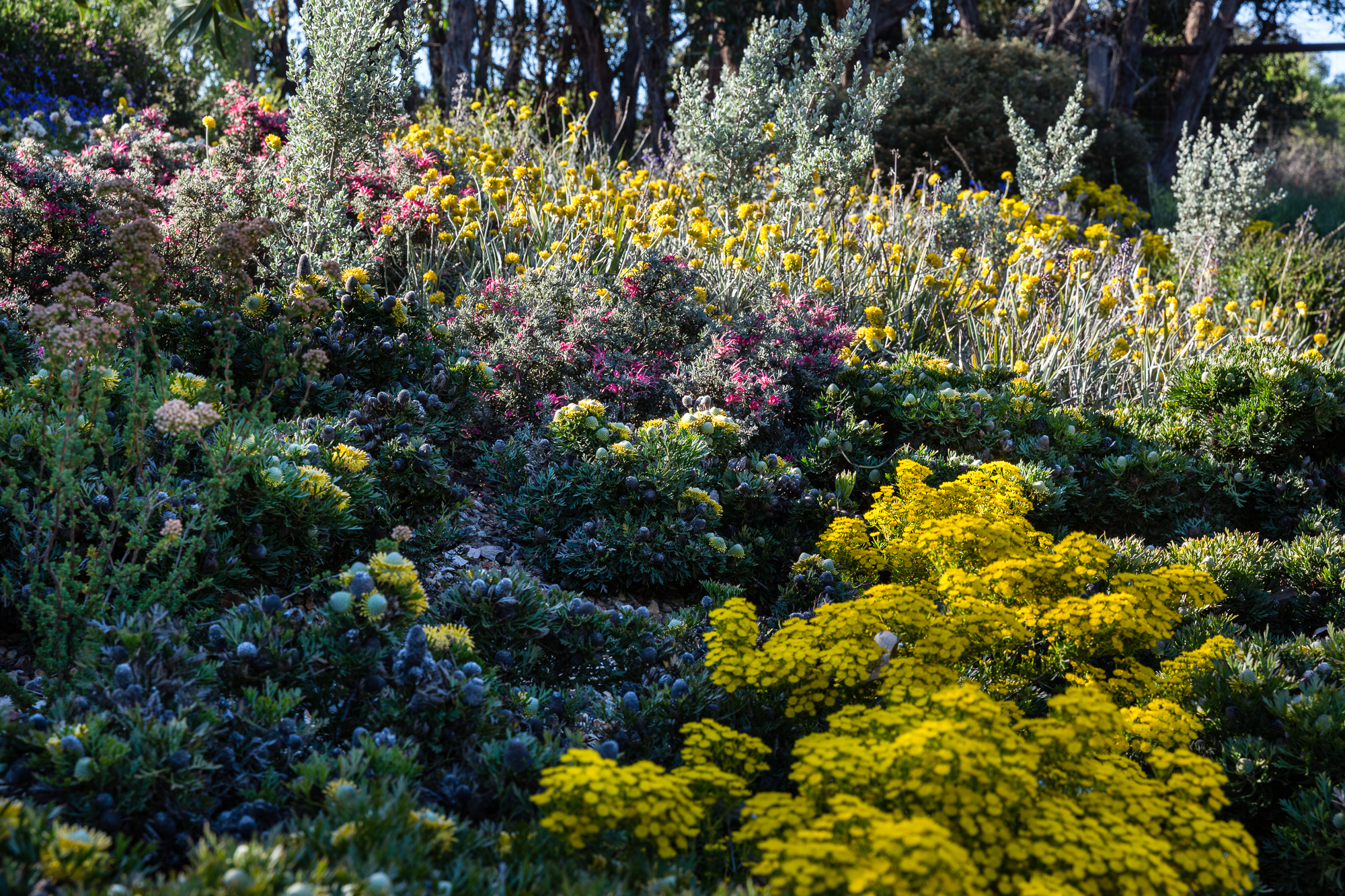 Red Rocks Flower Red Rocks In Flower Bed Best Landscaping Rocks For Your Yard Project