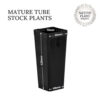 tube stock dia 80