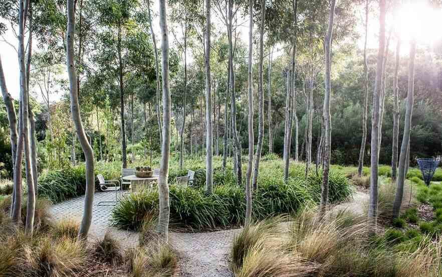 View of A Gardener's Sanctuary - Native Plant Project