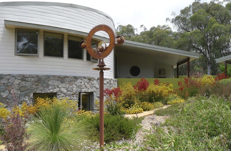11. Kangaroo paws daisies and grass tree