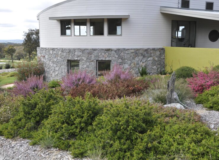 3 Planting to complement the house